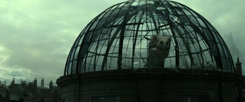 RdM2-Potterish_02481.jpg