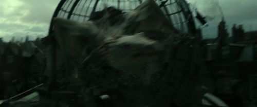 RdM2-Potterish_02490.jpg