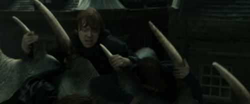 RdM2-Potterish_02497.jpg