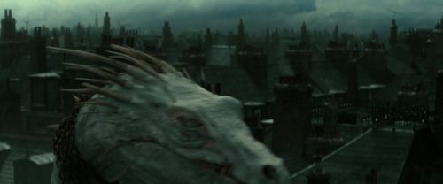RdM2-Potterish_02522.jpg
