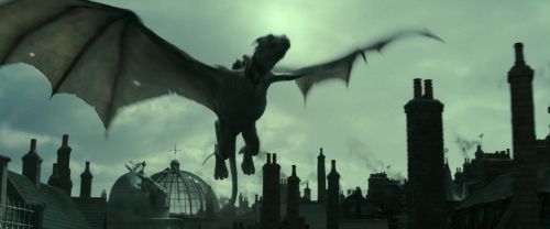 Click to view full size image
==============
RdM2-Potterish_02530.jpg RdM2-Potterish_02530.jpg
