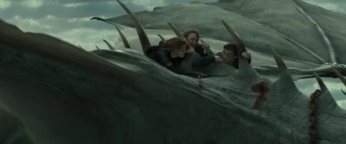 RdM2-Potterish_02550.jpg
