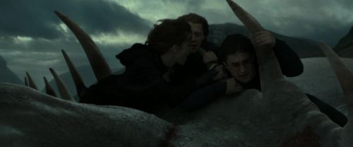 RdM2-Potterish_02615.jpg