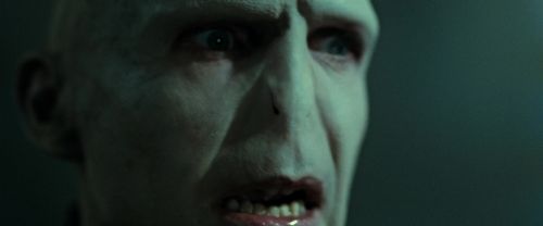 Click to view full size image
==============
RdM2-Potterish_02684.jpg RdM2-Potterish_02684.jpg