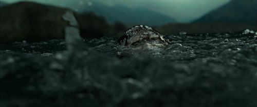 Click to view full size image
==============
RdM2-Potterish_02691.jpg RdM2-Potterish_02691.jpg