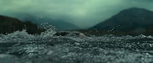 Click to view full size image
==============
RdM2-Potterish_02713.jpg RdM2-Potterish_02713.jpg