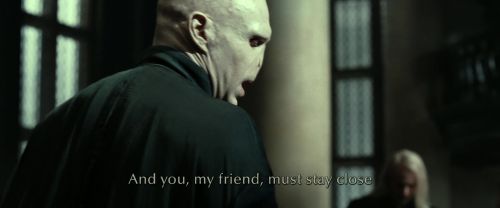 RdM2-Potterish_02919.jpg