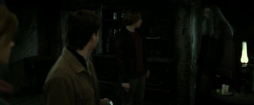 RdM2-Potterish_03171.jpg