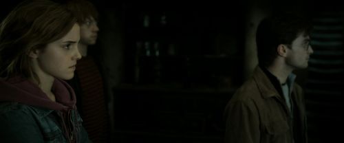 RdM2-Potterish_03573.jpg
