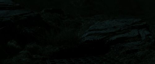 Click to view full size image
==============
RdM2-Potterish_03679.jpg RdM2-Potterish_03679.jpg