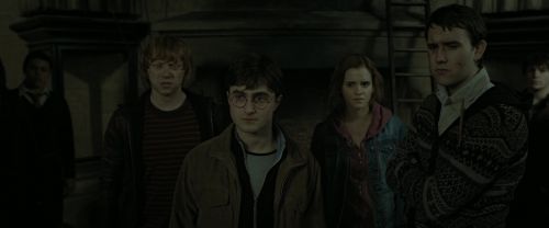 RdM2-Potterish_03915.jpg