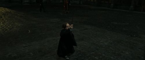 RdM2-Potterish_04913.jpg