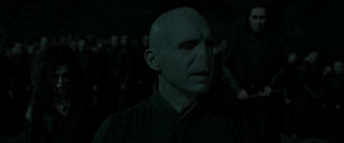RdM2-Potterish_05353.jpg