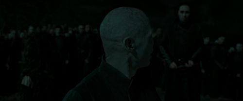 Click to view full size image
==============
RdM2-Potterish_05356.jpg RdM2-Potterish_05356.jpg