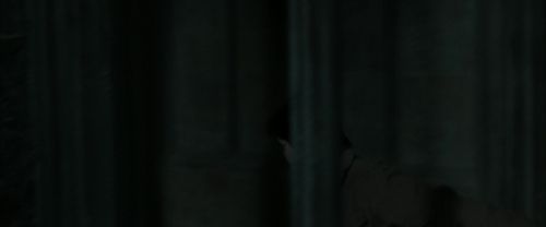 RdM2-Potterish_05424.jpg