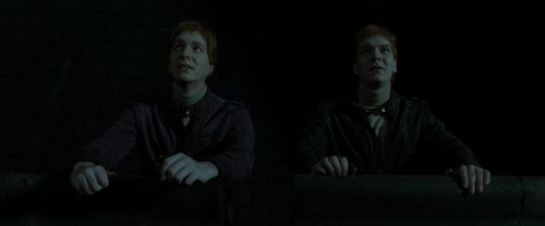 RdM2-Potterish_05709.jpg