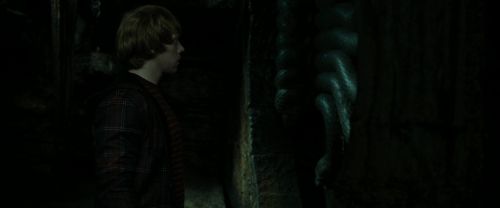 RdM2-Potterish_05729~0.jpg