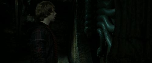 RdM2-Potterish_05730.jpg