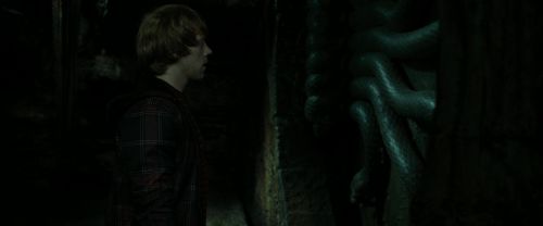 RdM2-Potterish_05731~0.jpg