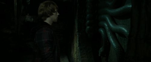 RdM2-Potterish_05732~0.jpg