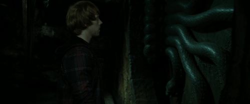 RdM2-Potterish_05733.jpg