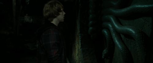 RdM2-Potterish_05734~0.jpg