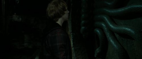 RdM2-Potterish_05740~0.jpg