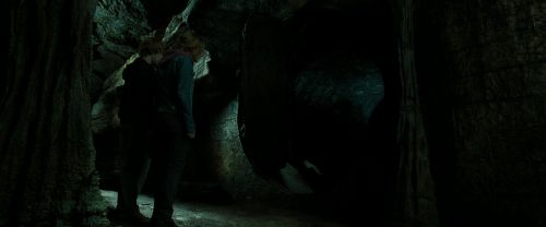 RdM2-Potterish_05773.jpg