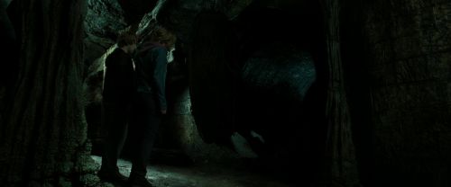RdM2-Potterish_05774.jpg