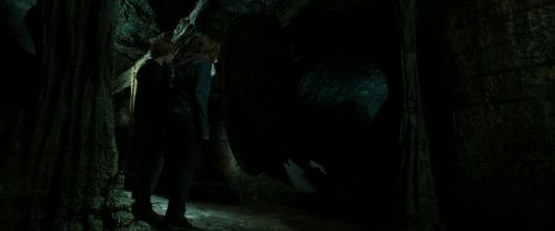 RdM2-Potterish_05775~0.jpg