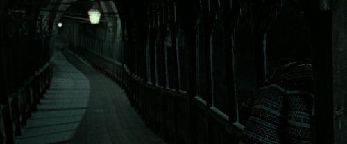 RdM2-Potterish_05815.jpg