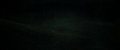 RdM2-Potterish_05822.jpg
