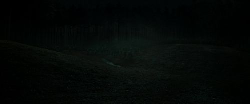 RdM2-Potterish_05827.jpg