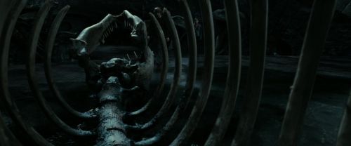 RdM2-Potterish_05873.jpg