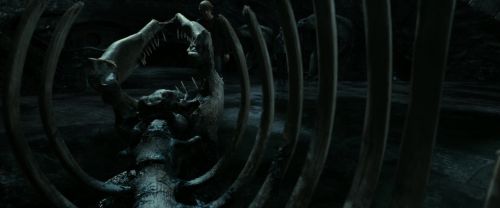 RdM2-Potterish_05875.jpg