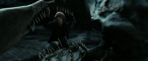 RdM2-Potterish_05884.jpg