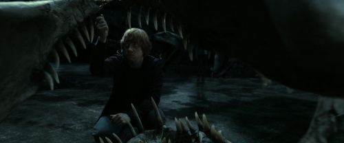 RdM2-Potterish_05886.jpg