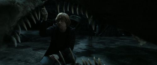 RdM2-Potterish_05887.jpg