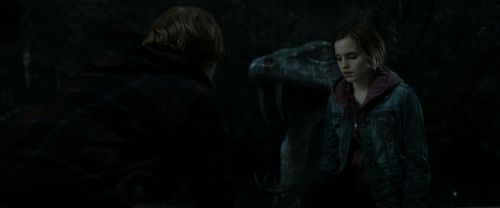 RdM2-Potterish_05927.jpg