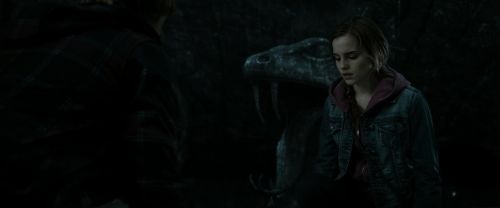 RdM2-Potterish_05932.jpg