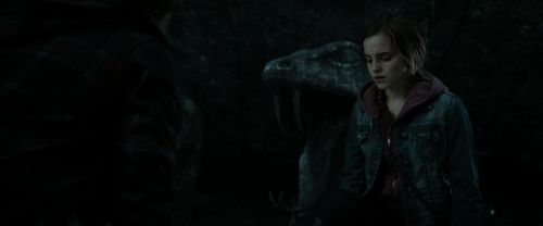 RdM2-Potterish_05933.jpg