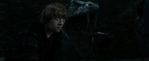 RdM2-Potterish_05946.jpg