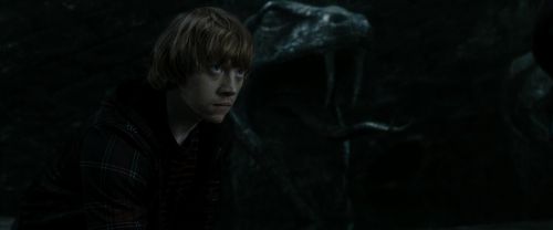 RdM2-Potterish_05947.jpg