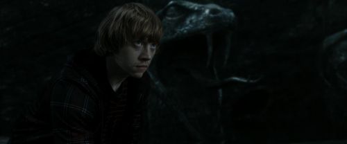 Click to view full size image
==============
RdM2-Potterish_05948.jpg RdM2-Potterish_05948.jpg