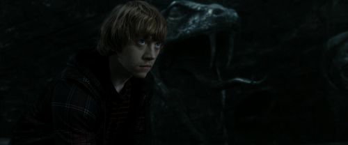 RdM2-Potterish_05949.jpg
