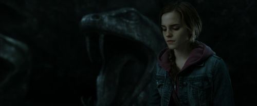 RdM2-Potterish_05953.jpg