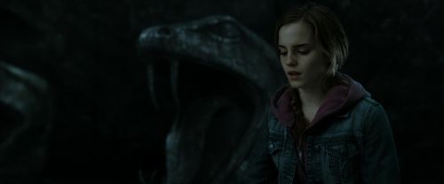 RdM2-Potterish_05954.jpg