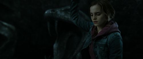 Click to view full size image
==============
RdM2-Potterish_05956.jpg RdM2-Potterish_05956.jpg