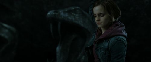 RdM2-Potterish_05957.jpg