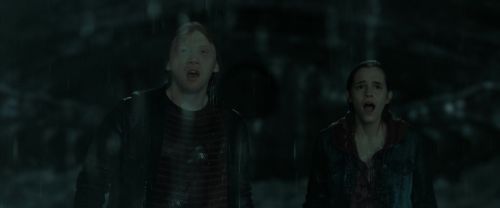 RdM2-Potterish_05995.jpg